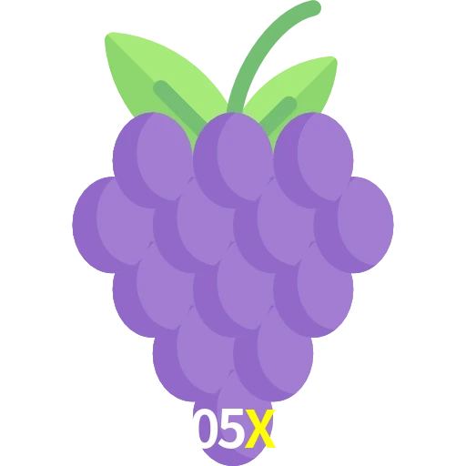 05X